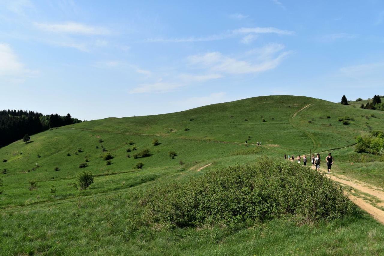 Apartmany V Muellerovom Dome Banská Štiavnica 外观 照片